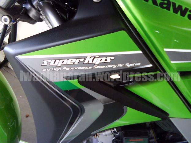 Nih dia warna baru Ninja 150 L/RR (2010)…..