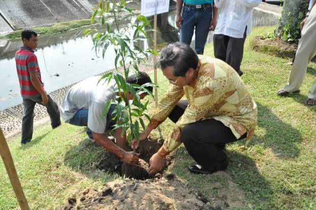 AHM getol terlibat dalam program penghijauan….