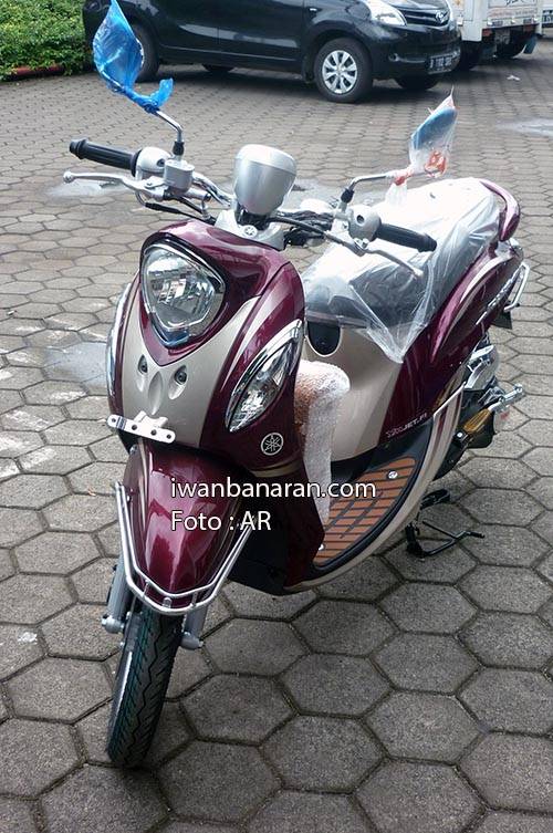 fino premium SE (3)