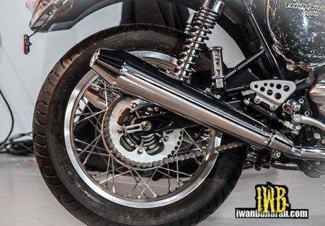 Triumph (11)