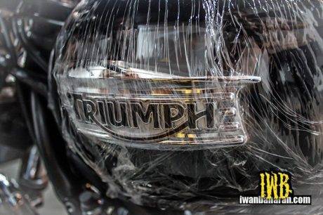 Triumph (3)
