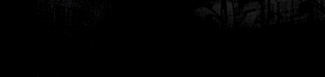 460x110-
