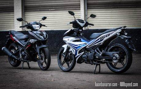 MX_king