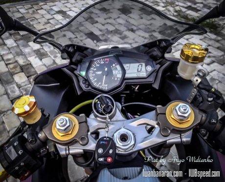 Yamaha_R25 (3)