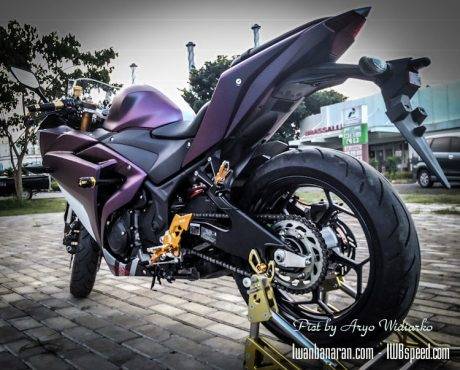 Yamaha_R25 (6)