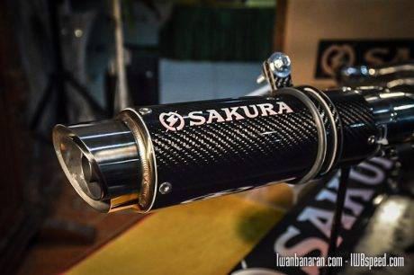 sakura-33