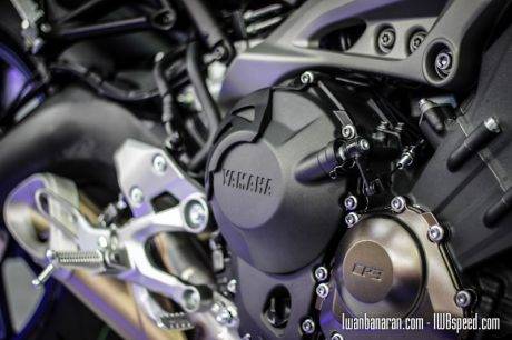 Yamaha MT 09 (18)