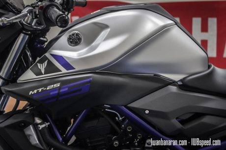 Yamaha MT25 (20)