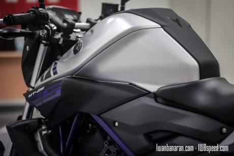 Yamaha MT25 (50)