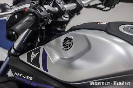 Yamaha MT25 (51)