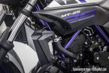 Yamaha MT25 (58)