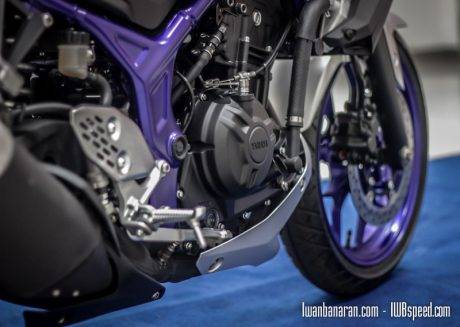 Yamaha MT25 (67)