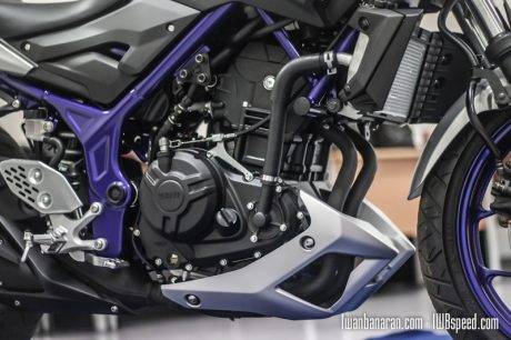 Yamaha MT25 (73)