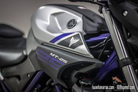 Yamaha MT25 (79)
