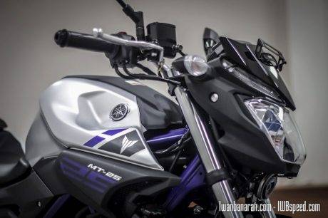 Yamaha MT25 (81)