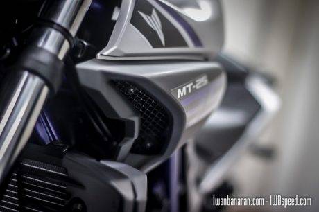 Yamaha MT25 (82)