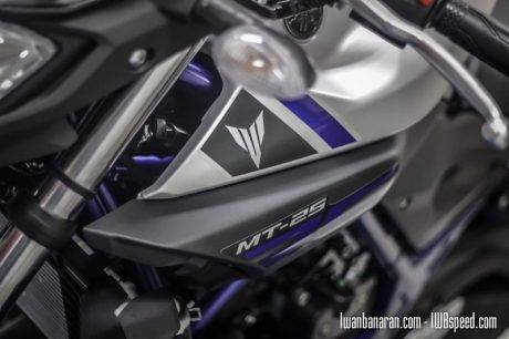 Yamaha MT25 (83)