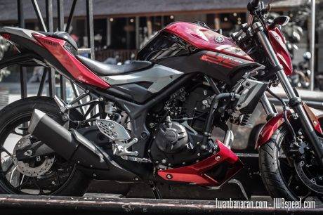 Yamaha MT25 red (6)