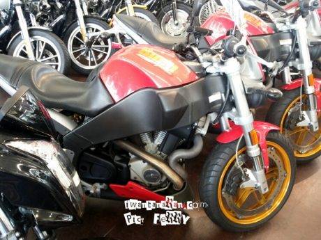 Buell