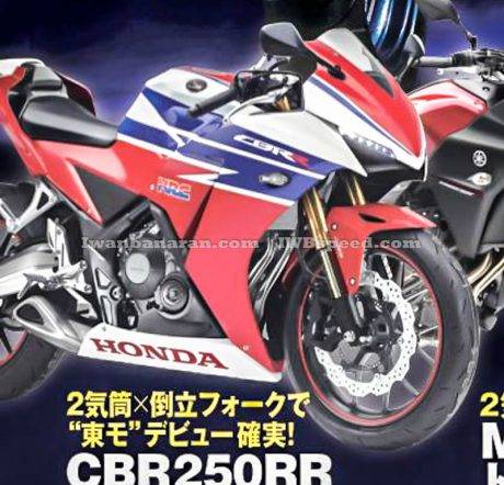 CBR250RR (1)