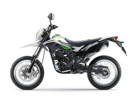 kawasaki D-Tracker 150 pelk 17 inch (6)