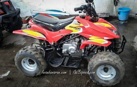 ATV Viar (2)