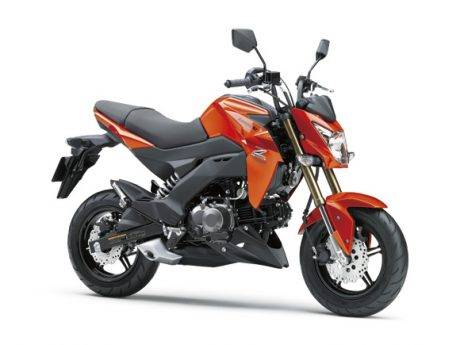 Kawasaki Z125 (17)