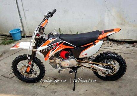 Viar cross X100 (2)