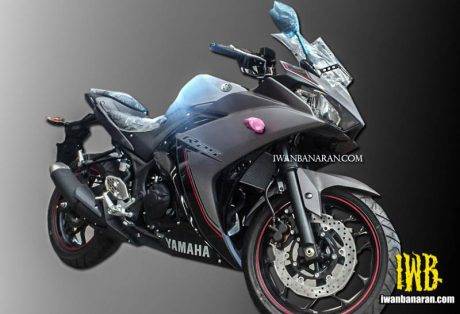 R25 gun metal