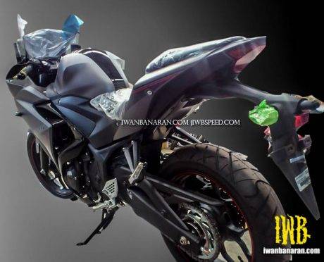 R25 gun metal2
