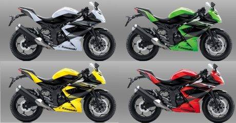 ninja-rr-mono