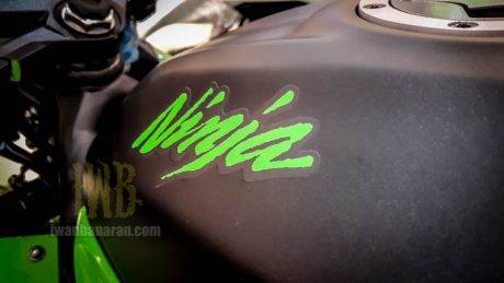 Kawasaki Ninja RR Mono 2016 (4)