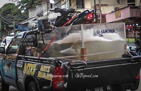 mio M3 anti banjir (1)