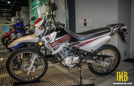 yamaha (4)