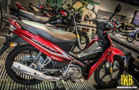 yamaha (8)