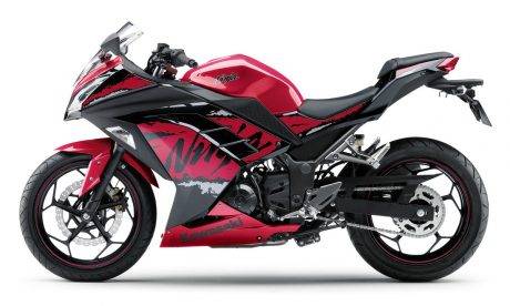 2017-Kawasaki-Ninja-250-ABS-SE-003