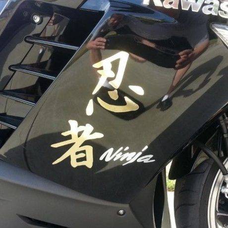 ninja 250