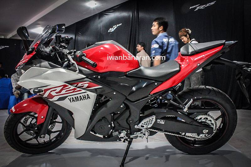 Yamaha_YZF_R25 (16)