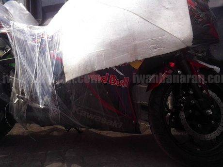 Ninja250R Redbull (4)