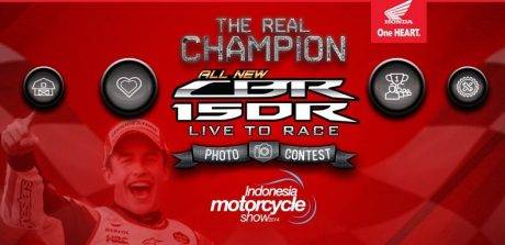 the real champion photo contest (1)