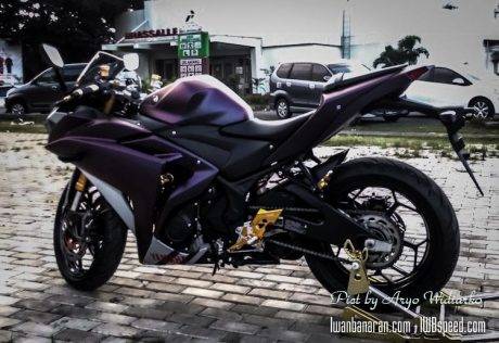 Yamaha_R25 (5)