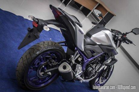 Yamaha MT25 (23)