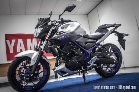 Yamaha MT25 (25)