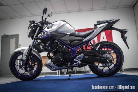 Yamaha MT25 (26)