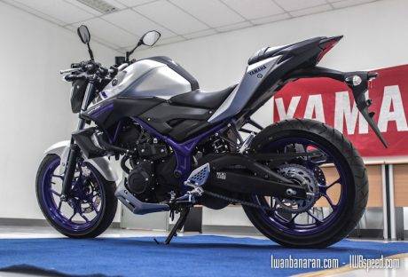 Yamaha MT25 (27)