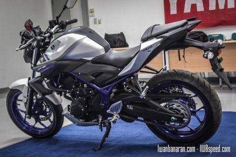 Yamaha MT25 (28)