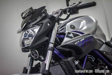 Yamaha MT25 (62)