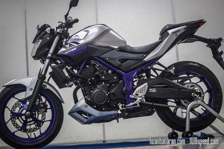 Yamaha MT25 (63)