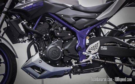 Yamaha MT25 (64)