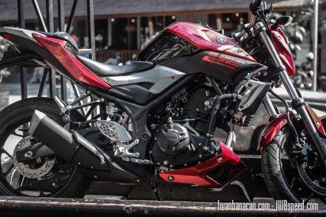 Yamaha MT25 red (6)